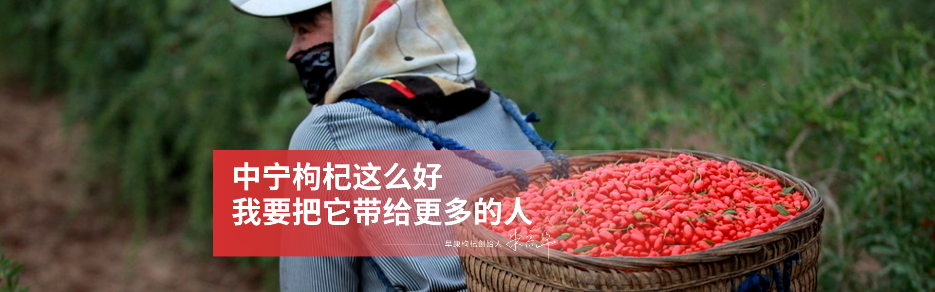 企业创始人